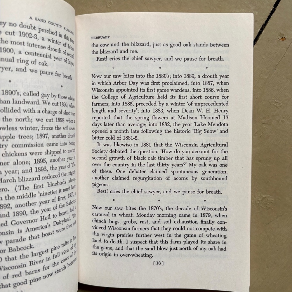 1968 A Sand County Almanac Aldo Leopold Nature Sketches Season Naturalist Gift - Picture 6 of 10